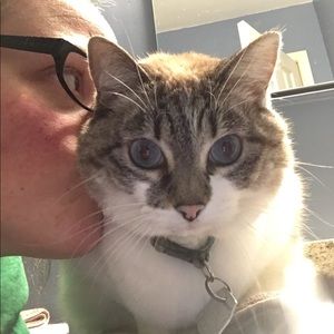 Meet your Posher, Allison